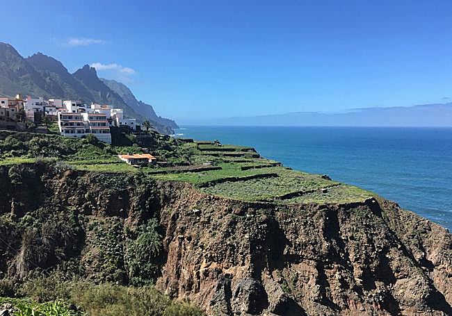 Gastronomía sostenible