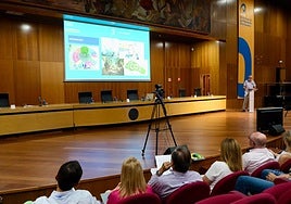 Sesión del Claustro de la ULPGC este martes.