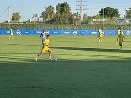 UD Las Palmas - Brighton: mucho trabajo aún por hacer, no solo en el campo