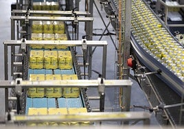 Cervecera de Canarias amplía su oferta de cerveza sin alcohol ante el crecimiento constante de la demanda