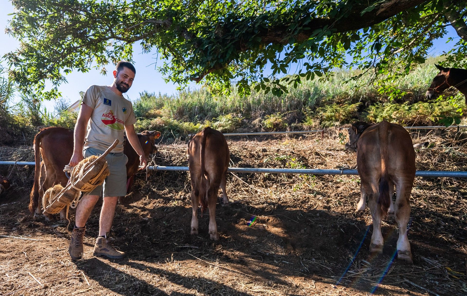 Madrelagua vivirá este domingo una de las citas más esperadas del verano rural.