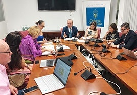 Augusto Hidalgo en la Comisión de Pleno del Cabildo en la que ofreció los datos sobre vivienda.