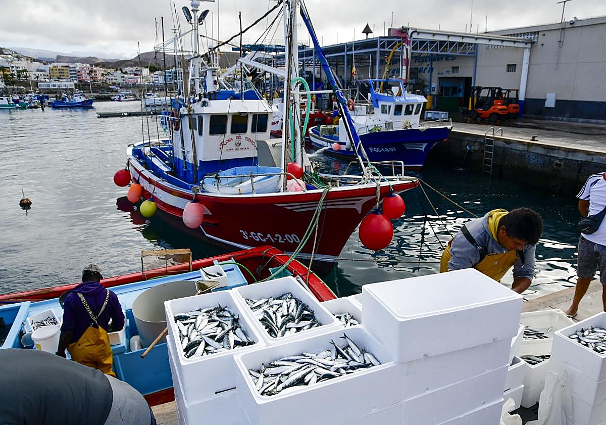 Imagen principal - Arriba, el muelle de Arguineguín donde Vicente vende su pescado. Abajo a la izquierda, Ricardo Ortega enseña el mural de la Virgen del Carmen. Abajo a la derecha, Carmelo Suárez muestra una fotografía en blanco y negro de las antiguas chabolas del pueblo.