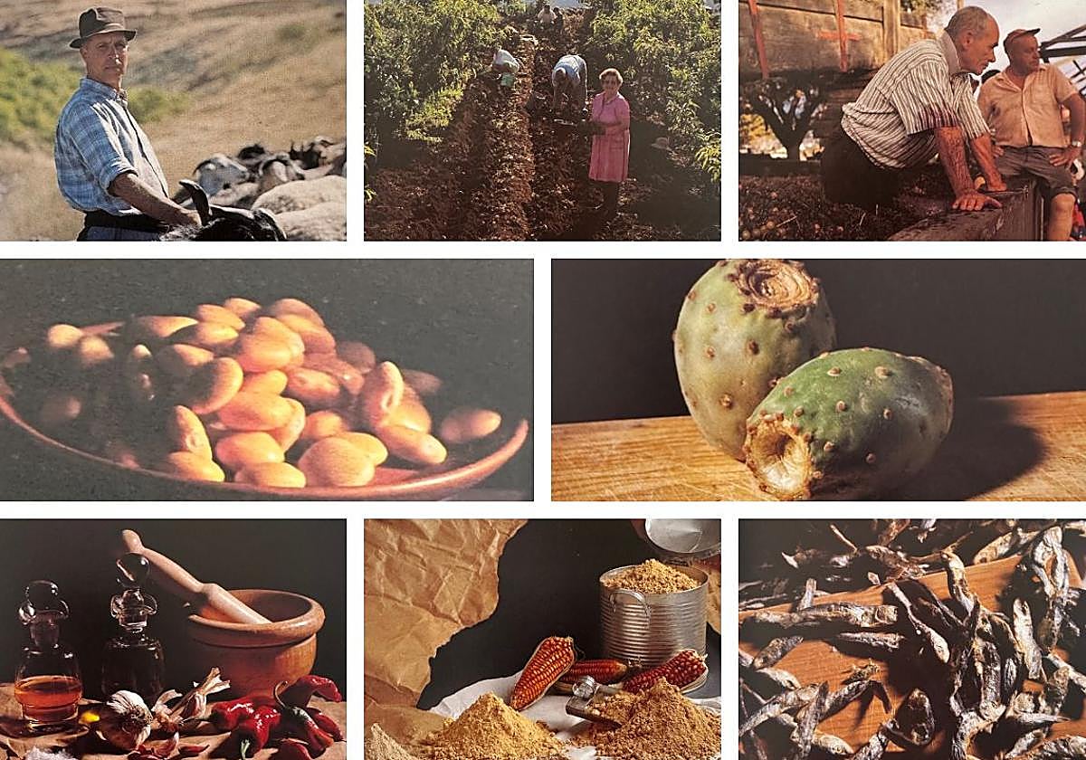 Costumbrismo en Canarias a finales del XIX