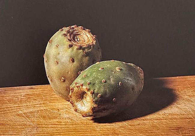 La tunera como proveedor de fruta y de la cochinilla