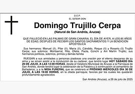 Domingo Trujillo Cerpa