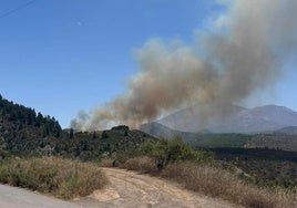 Conato de incendio en la zona de Los Partidos de Franquis.