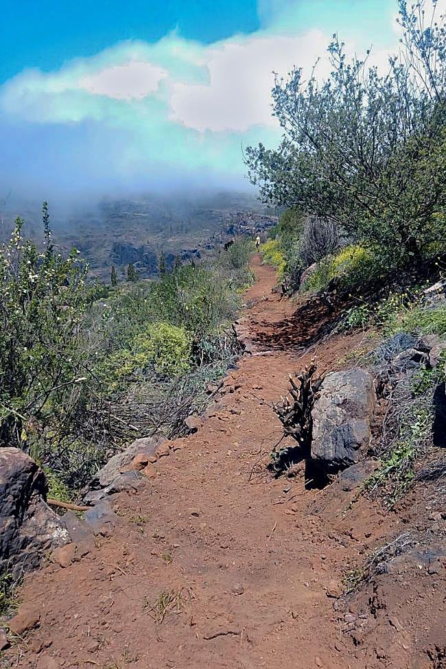 Parte del sendero que ha sido reacondicionado.