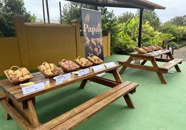 Todas las variedades de papas de la cata