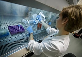 ¿Queremos vivir de prestado en Canarias?