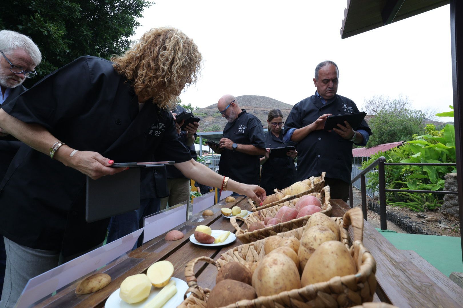 Así fue la XVI Cata Insular de Papas de Gran Canaria