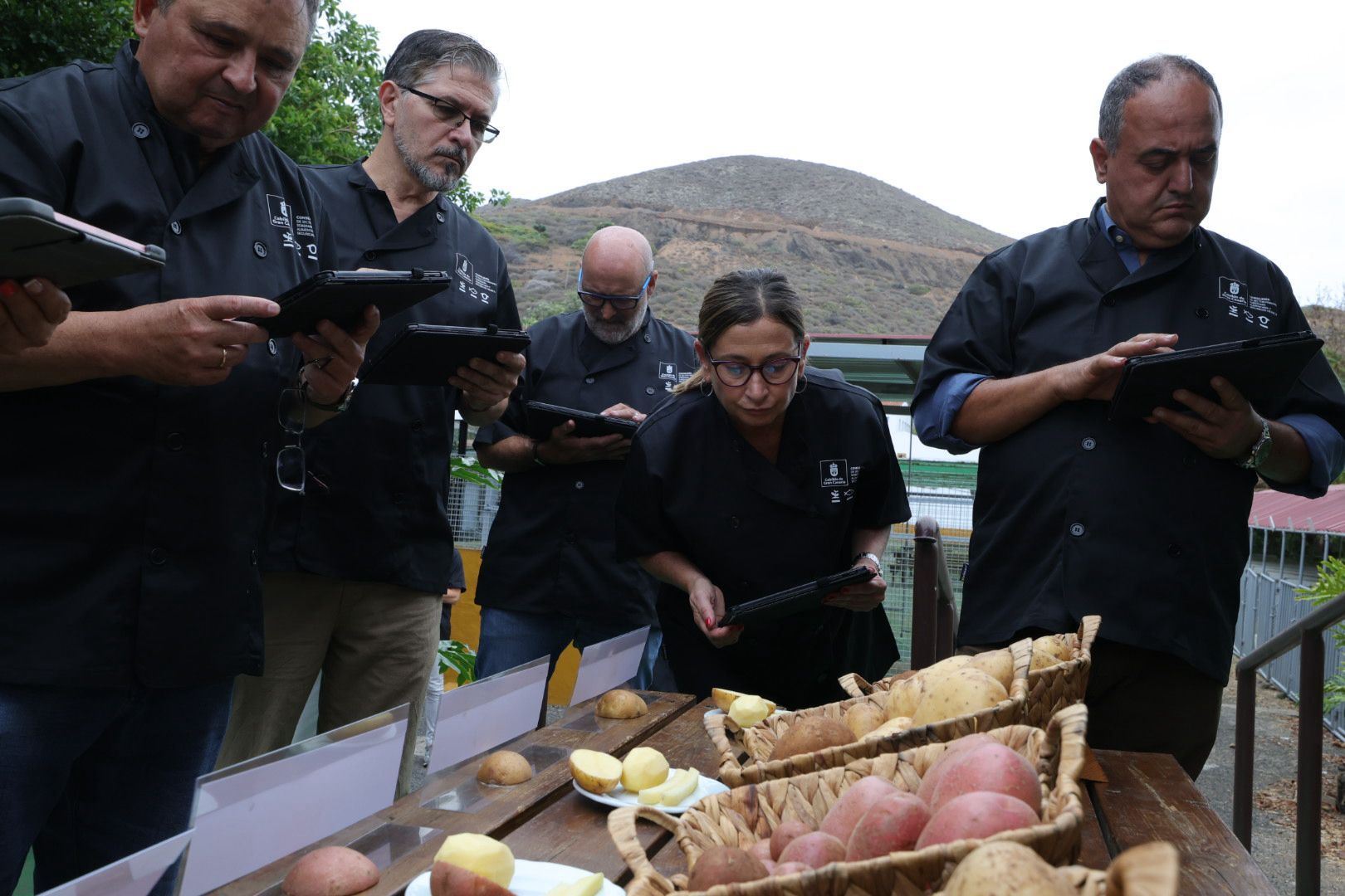 Así fue la XVI Cata Insular de Papas de Gran Canaria