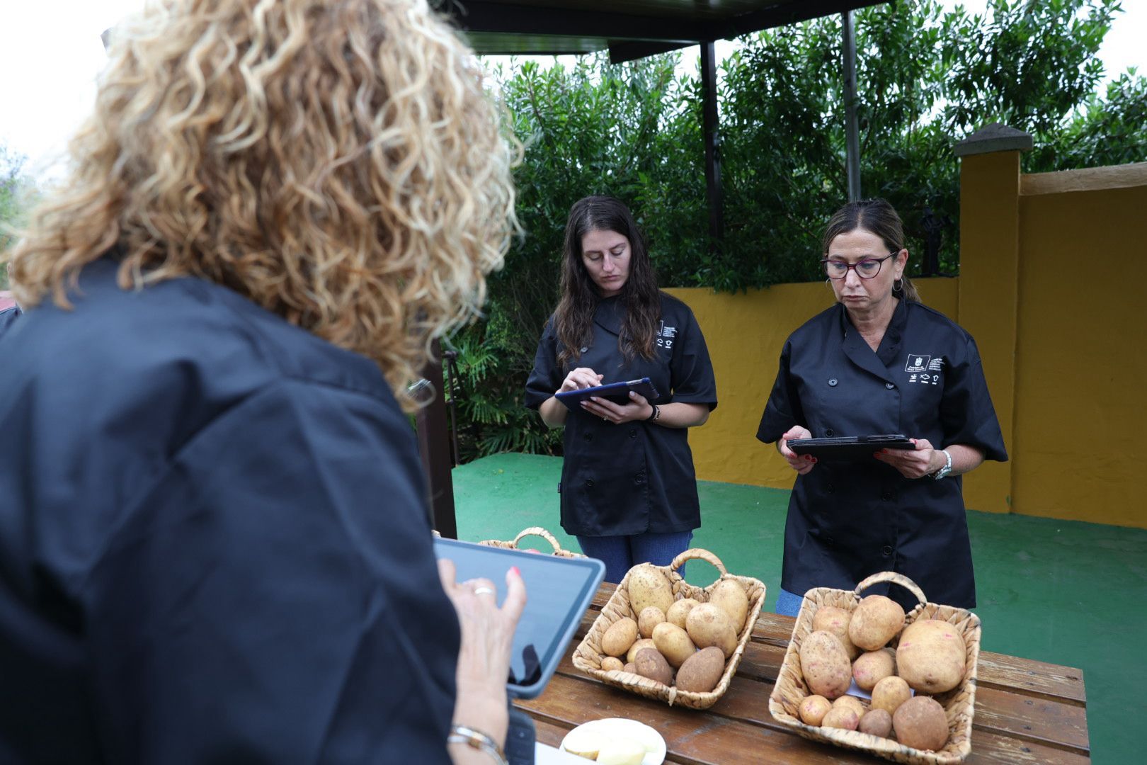 Así fue la XVI Cata Insular de Papas de Gran Canaria