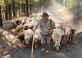 Benito Mendoza, mítico pastor de Caideros.