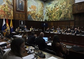Imagen del pleno del Cabildo de Gran Canaria