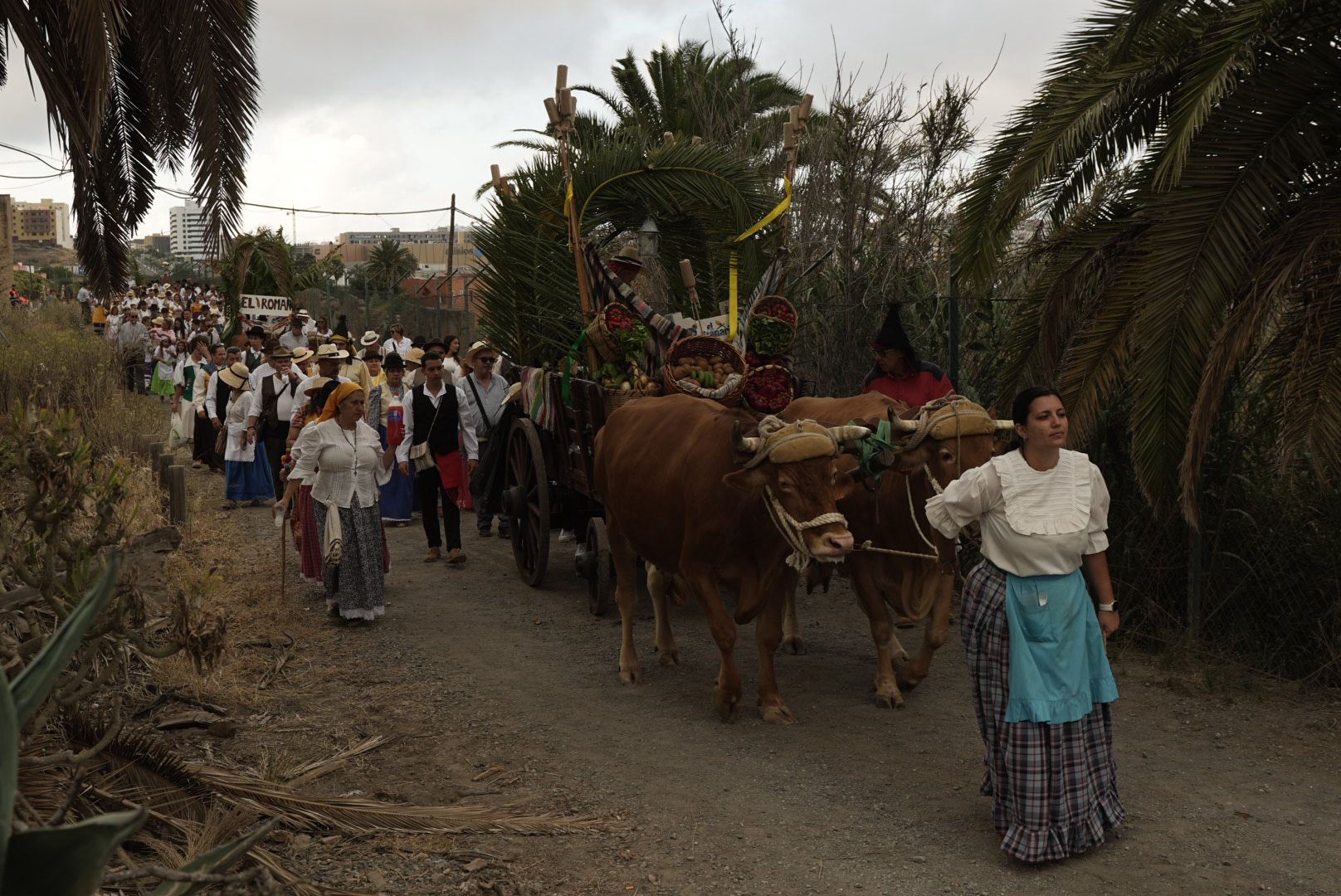 Carretes y romeros por el Camino Viejo de San Lorenzo