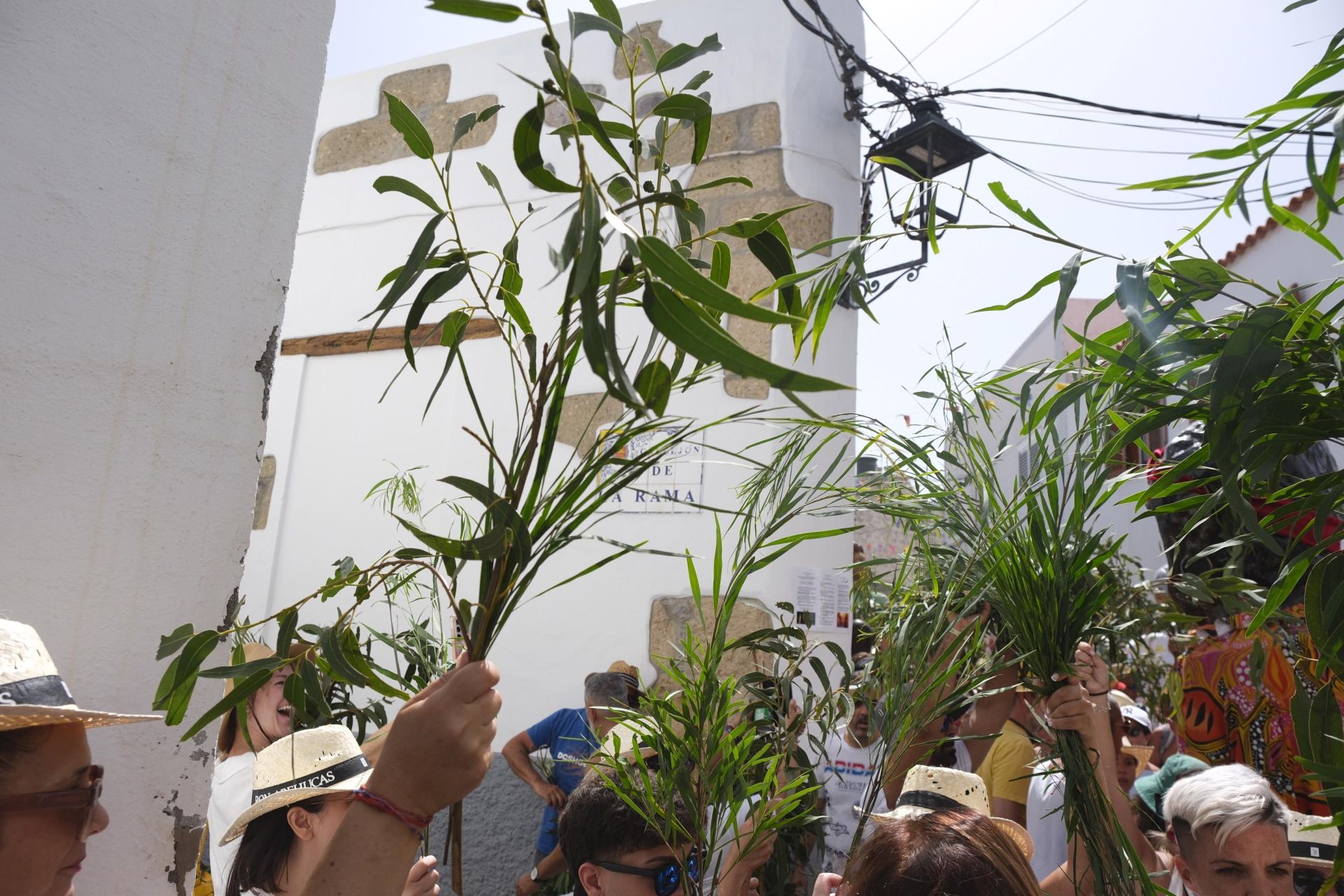 Las mejores imágenes de La Rama 2025