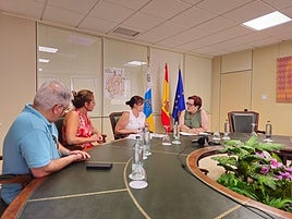 Candelaria Delgado, consejera de Bienestar Social (la primera por la derecha), con representantes del Colegio Oficial de Trabajo Social de Santa Cruz de Tenerife.