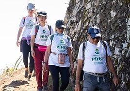 Imagen de senderistas en la primera edición de 'Vamos Pa'l Pino'.