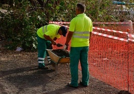 Inicio de la actuación de control de plagas por parte del Ayuntamiento de Las Palmas de Gran Canaria en el solar de La Paterna con el sellado de madrigueras.