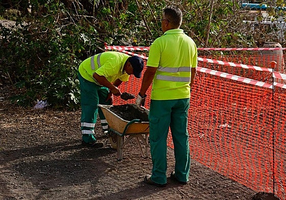 Inicio de la actuación de control de plagas por parte del Ayuntamiento de Las Palmas de Gran Canaria en el solar de La Paterna con el sellado de madrigueras.