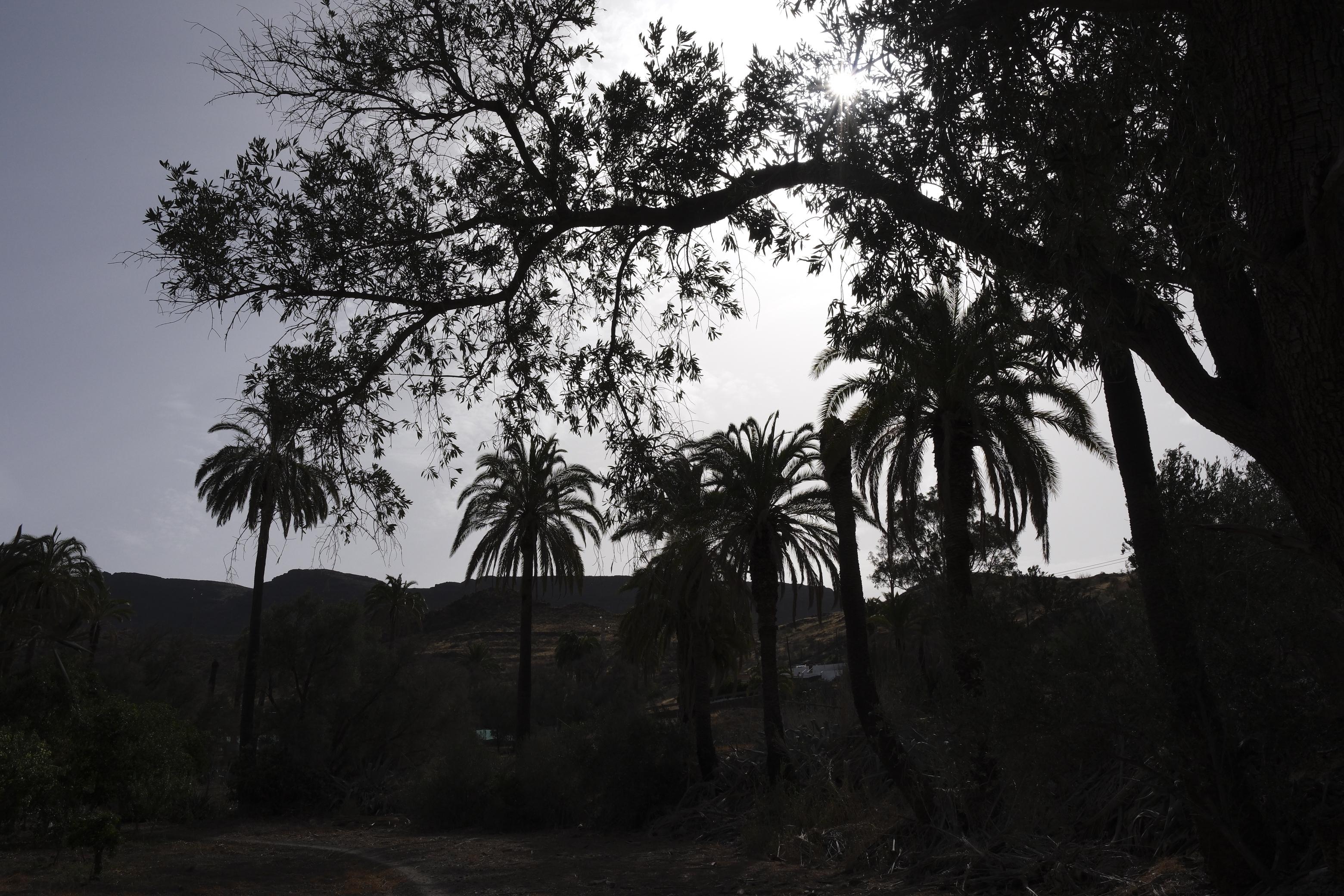 Así afrontan los canarios la ola de calor