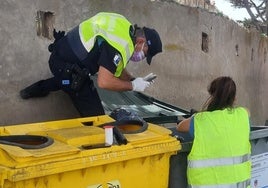 Contenededor donde fueron hallados los perros muertos.