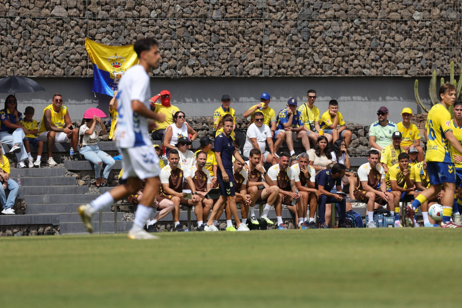Pasión y rivalidad en el derbi canario: UD Las Palmas - CD Tenerife