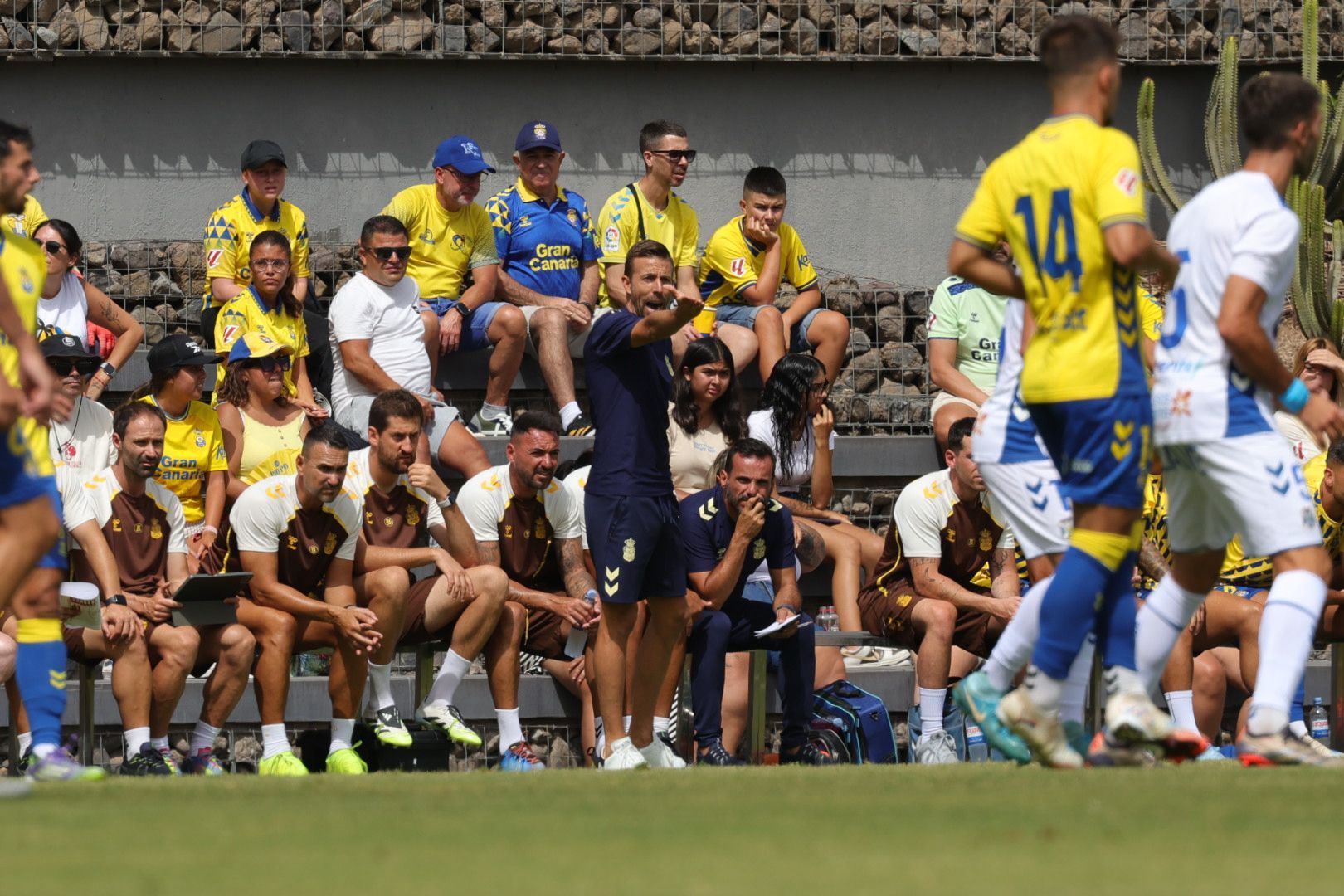 Pasión y rivalidad en el derbi canario: UD Las Palmas - CD Tenerife