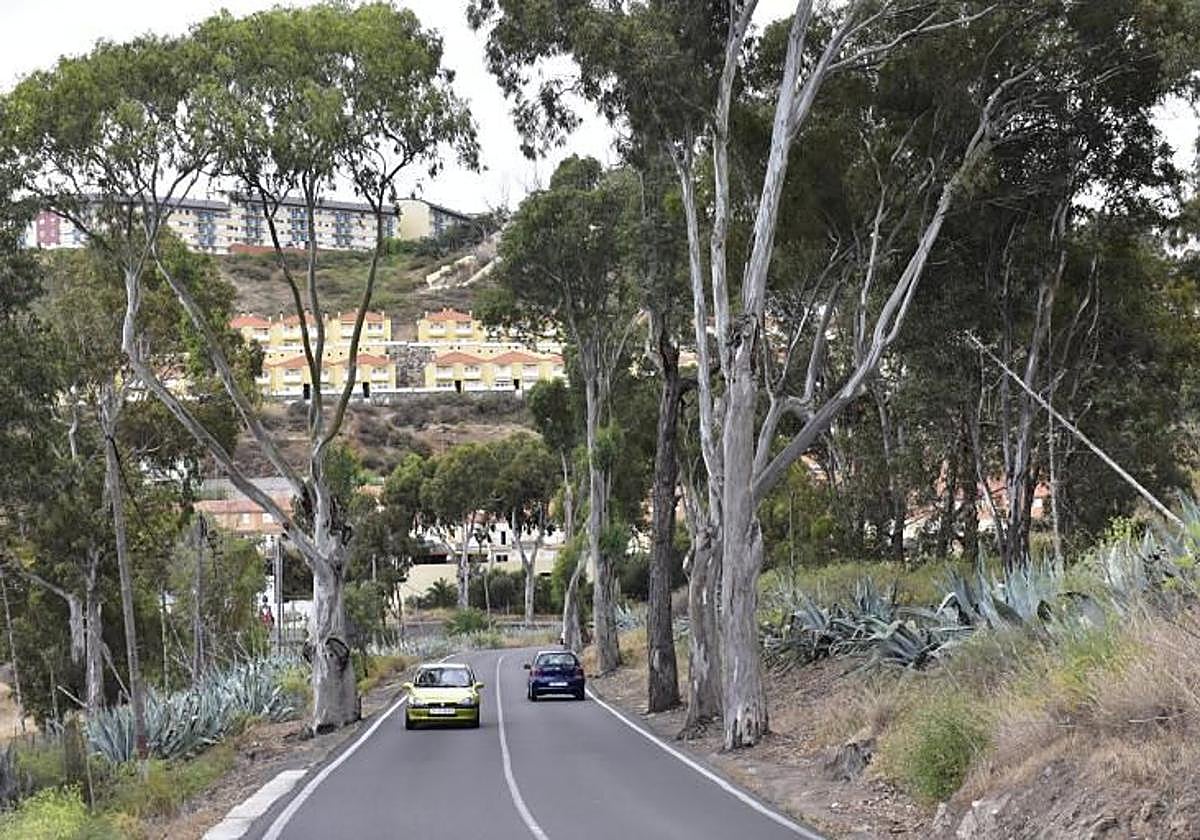 Zona de Eucaliptos en Teror.