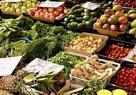 Carbohidratos complejos