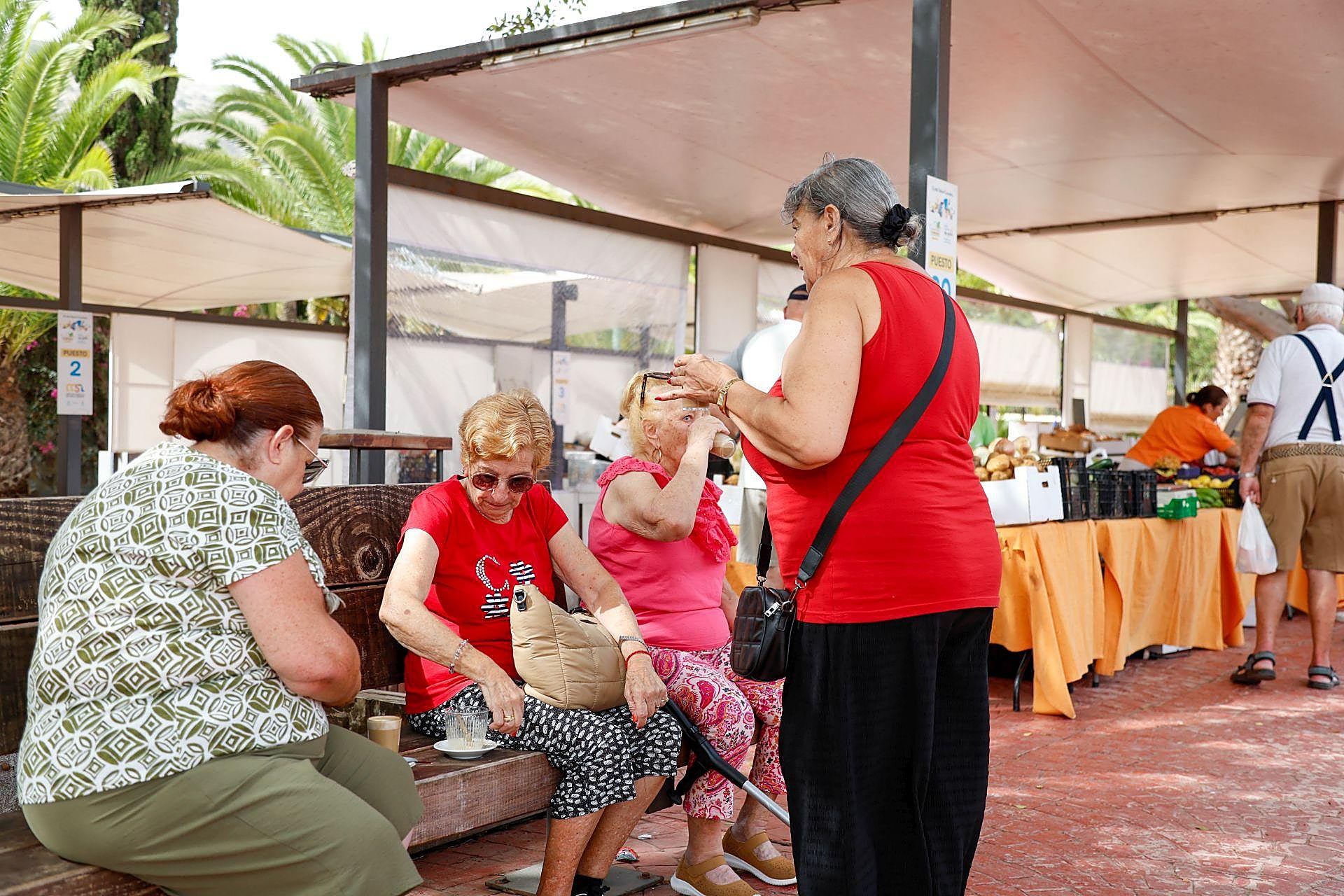 La mejores imágenes del día grande de San Lorenzo