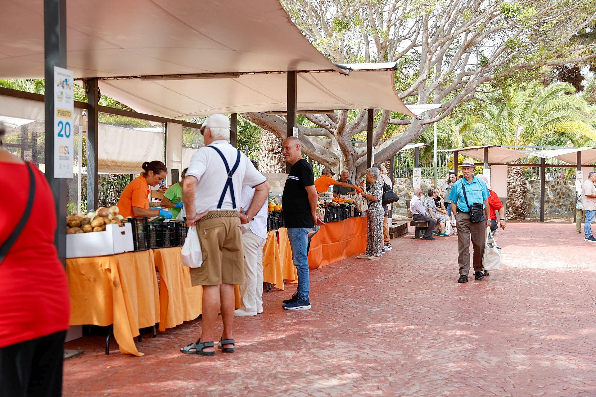 La mejores imágenes del día grande de San Lorenzo