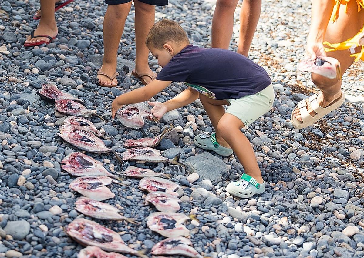 Imagen secundaria 1 - El jareado tuvo lugar en el Muellito y las jareas se orearon en los callaos de la playa.