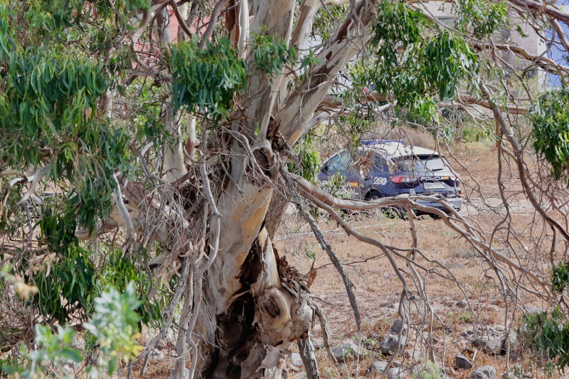 Así quedó el vehículo en el que murió un hombre calcinado en Ojos de Garza