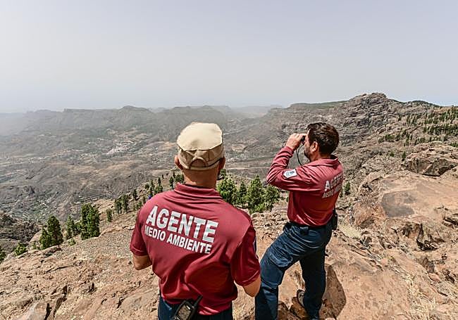 Dos agentes de Medio Ambiente del Cabildo en labores de observación.