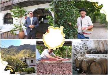 Valle de Agaete: fincas, bodegas y cafetales únicos en Europa