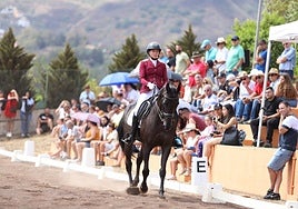 Imagen de ediciones anteriores del Día del Caballo en Santa Brígida.