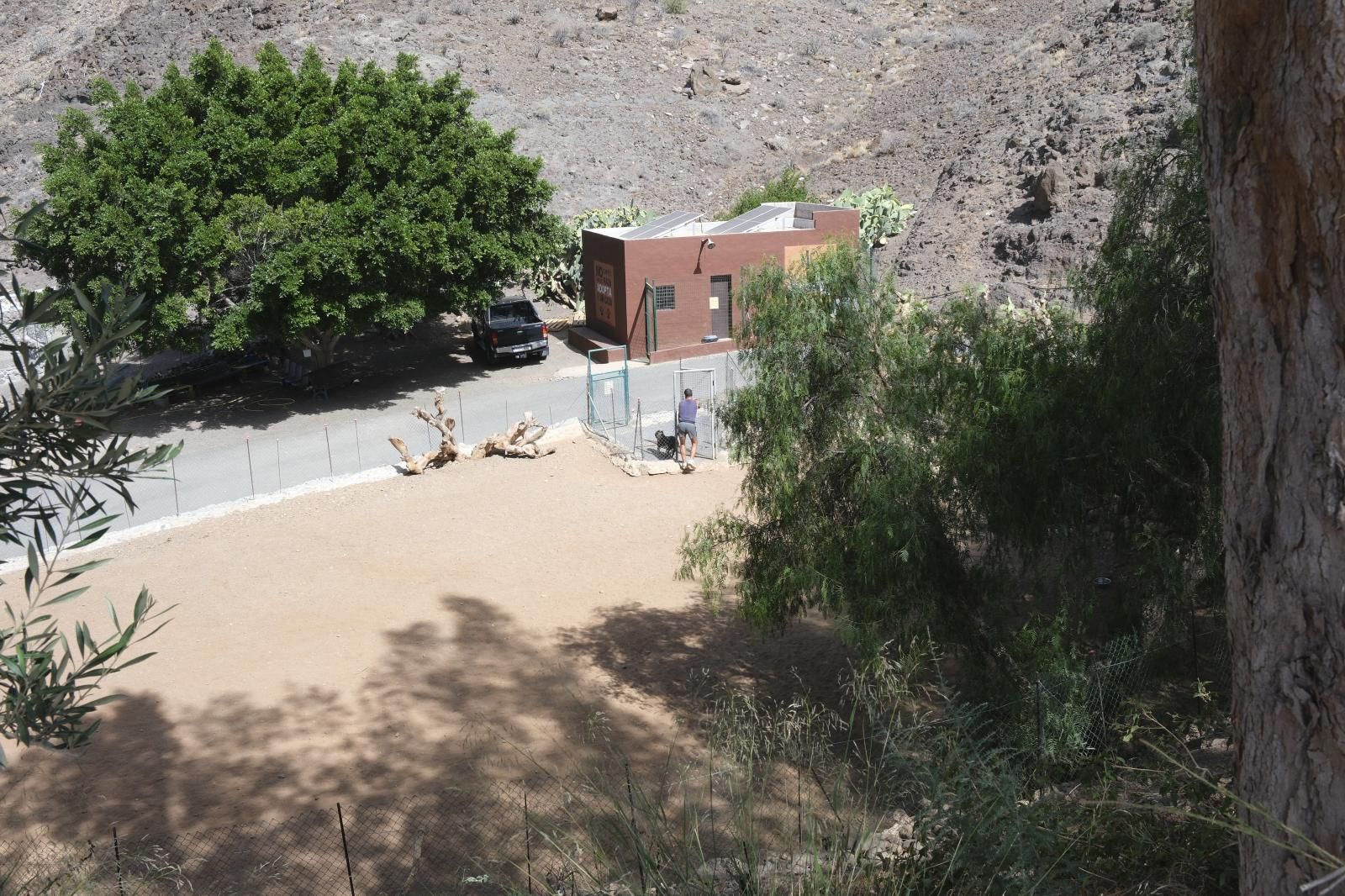 Visita por el Centro de Protección Animal de Santa Lucía de Tirajana