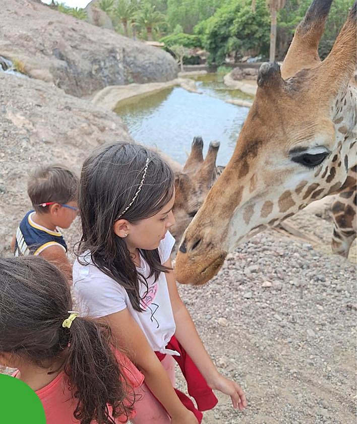 Imagen secundaria 2 - Diversos momentos del campamento de este verano en La Lajita, en el municipio de Pájara.
