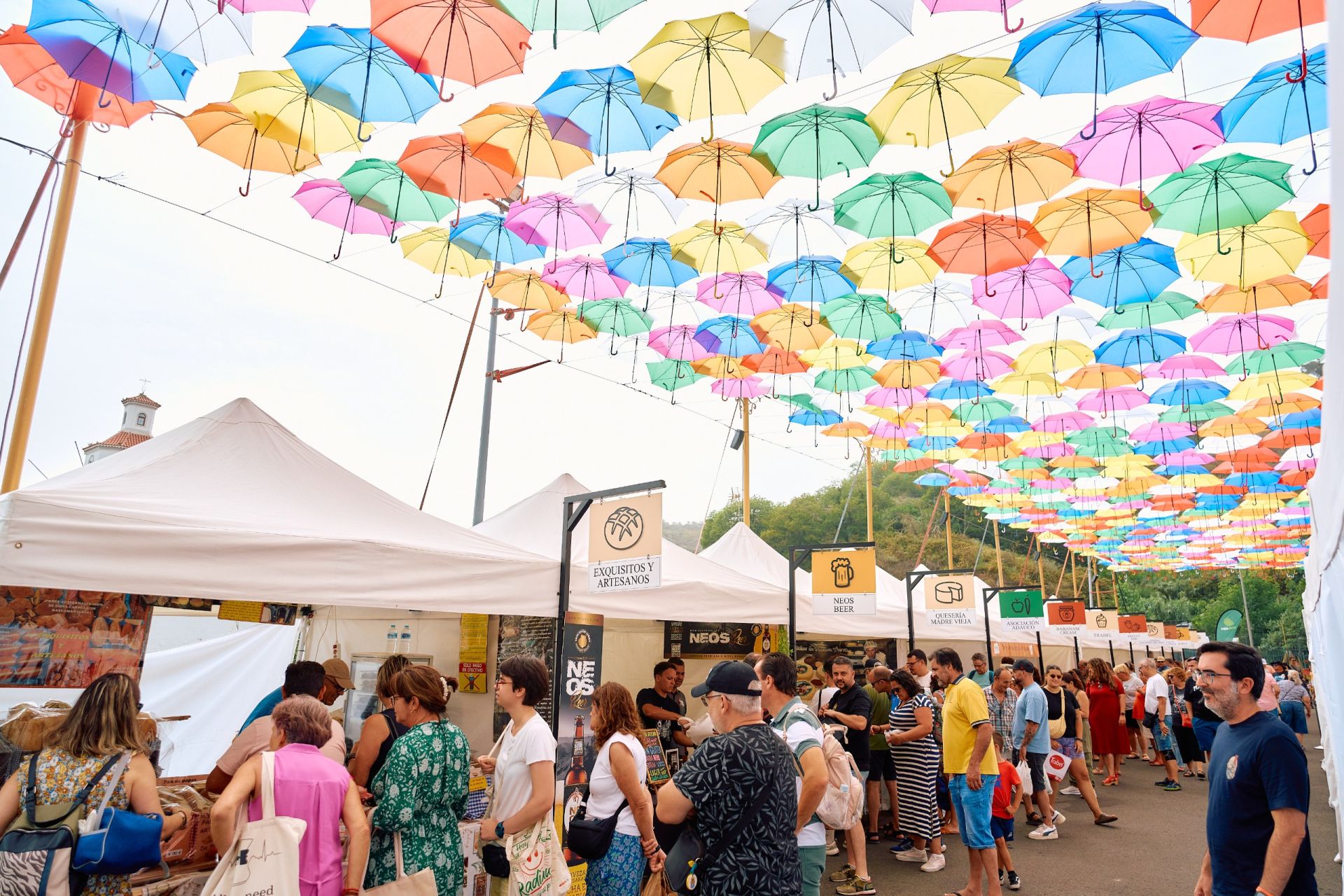 Sabor grancanario a la sombra de 2.000 paraguas