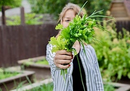 El perejil no se solo decoración