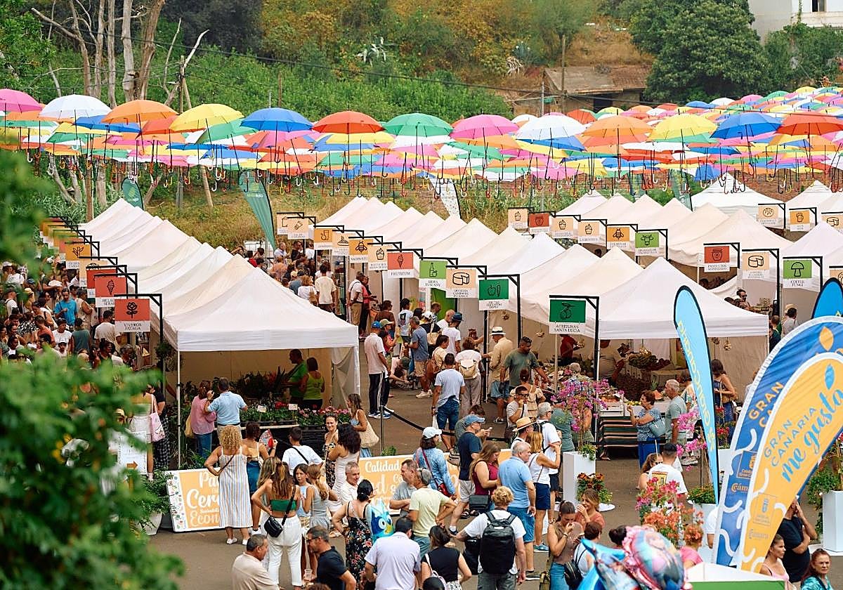 Miles de personas acudieron a la Feria KM.0 en Fontanales.
