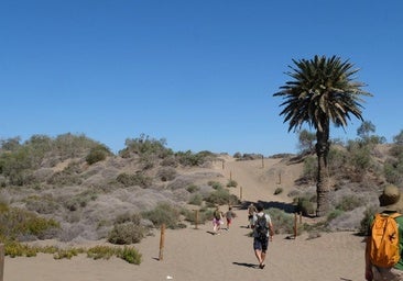 Impulsa Maspalomas creará material audiovisual divulgativo sobre las Dunas