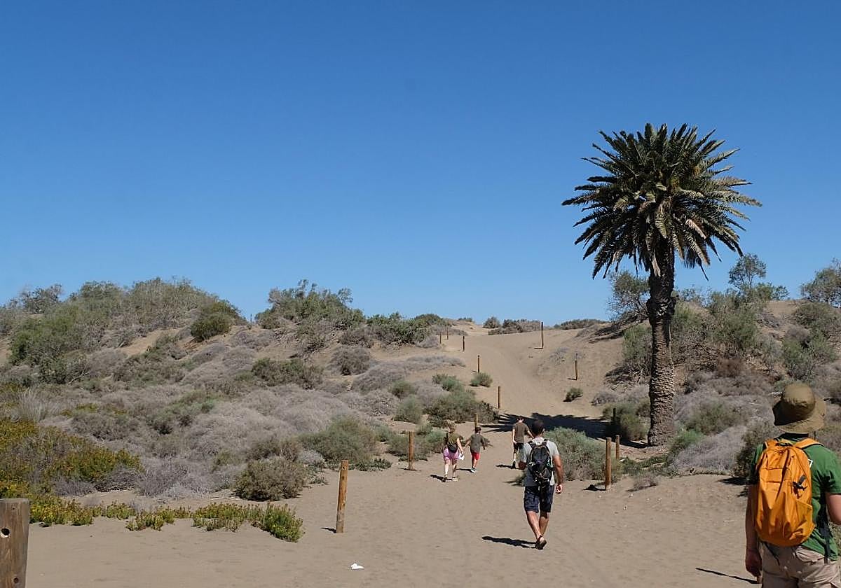 Turistas transitando por las Dunas de Maspalomas.