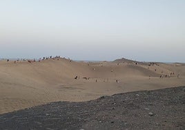 Dunas de Maspalomas: la maravilla que casi nadie respeta y nadie vigila