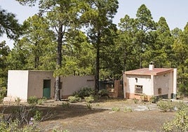 Vista parcial de las instalaciones del albergue del pinar de Tamadaba.