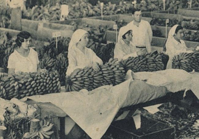 Empaquetando para enviar a Inglaterra