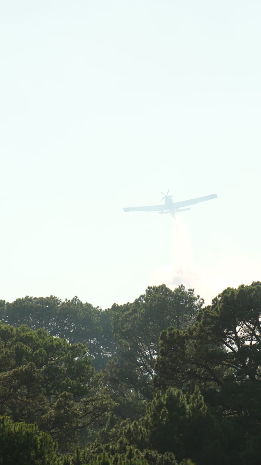 Las imágenes del incendio en El Hierro