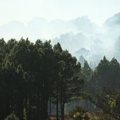 Humo del conato de incendio registrado ayer en El Hierro.